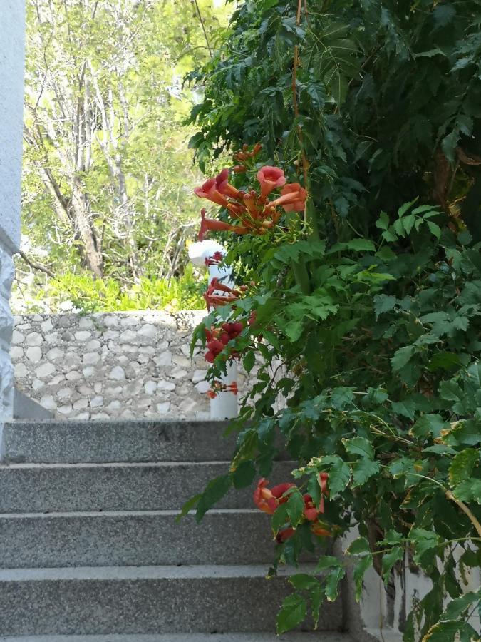 Apartments Bassi Stara Baška Екстериор снимка